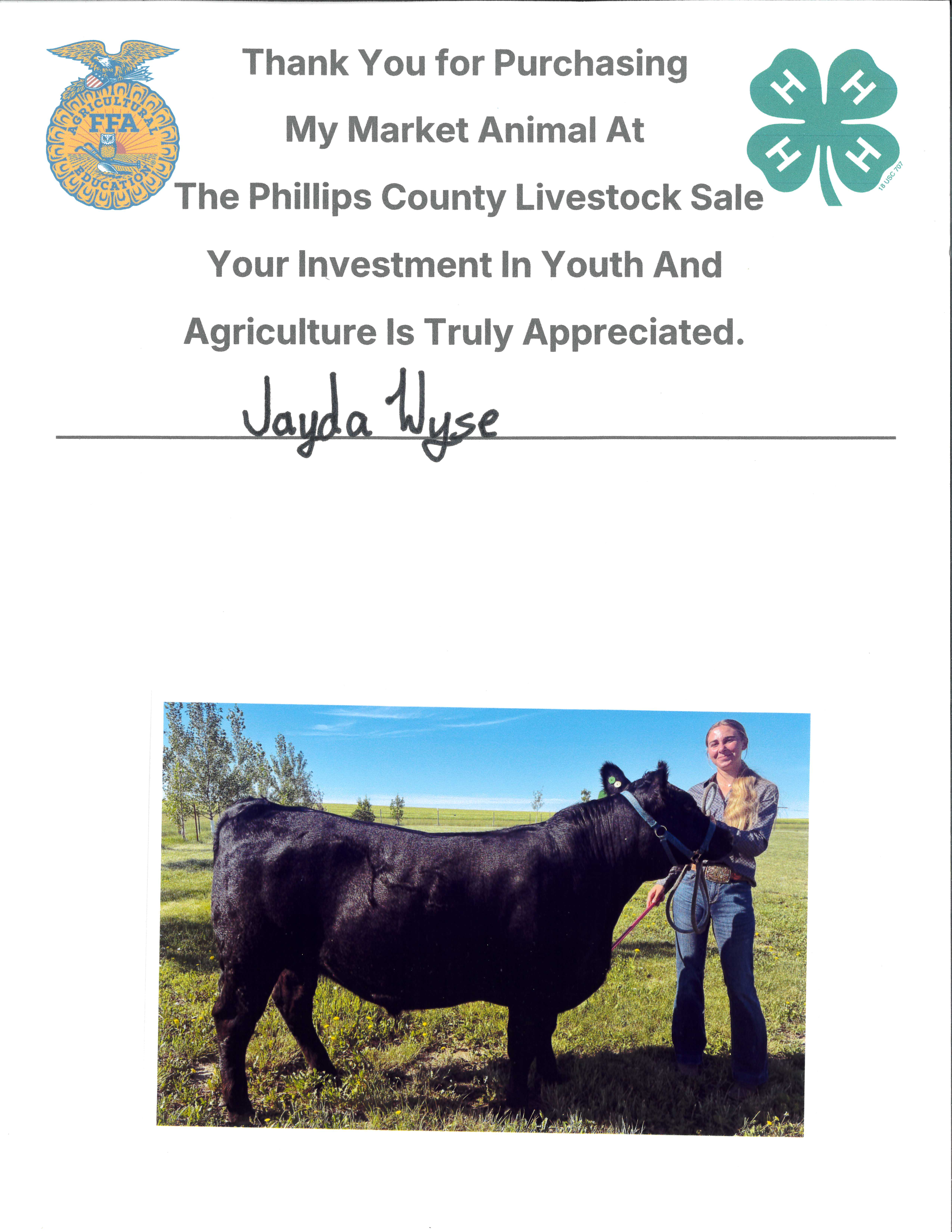 Jayda Wyse - Steer Purchase
